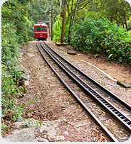 train in Rio