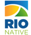 Rio Native