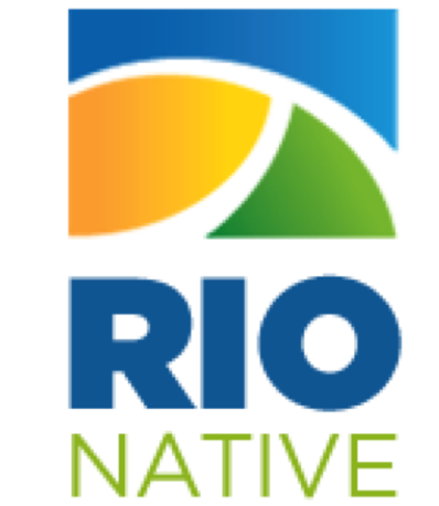 Rio Native