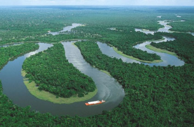 Manaus – Amazon – Rio Native